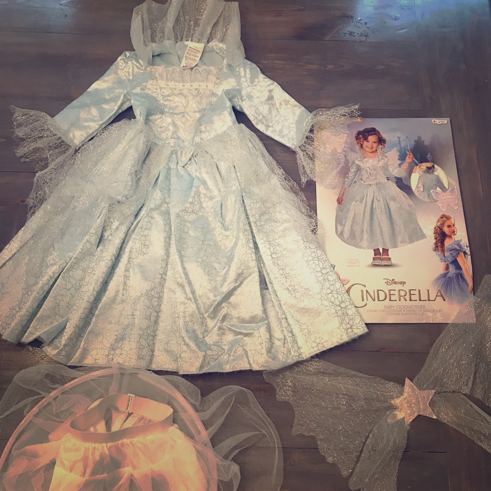 Cinderella Fairy Godmother Costume